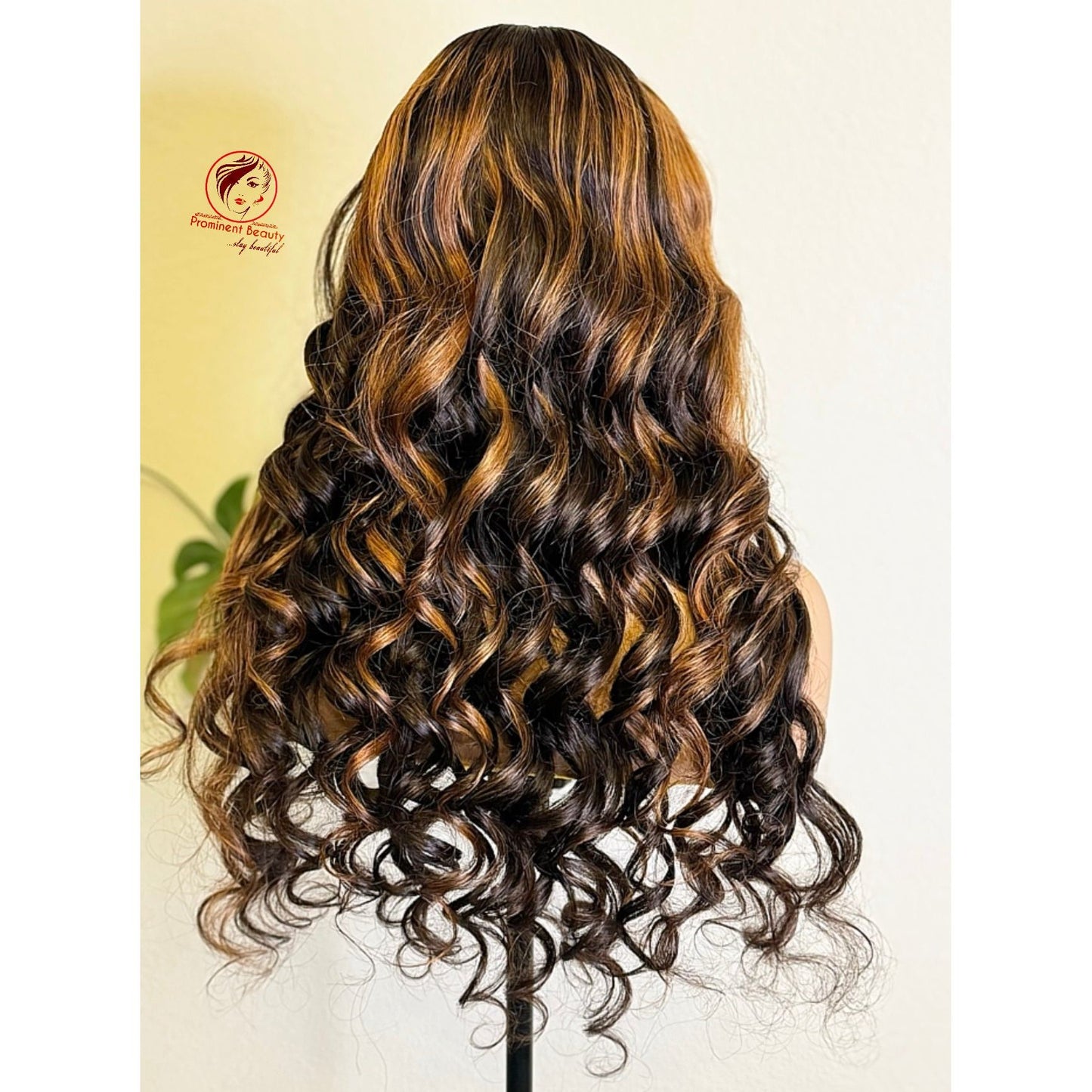 24” Ombre Curly Wig