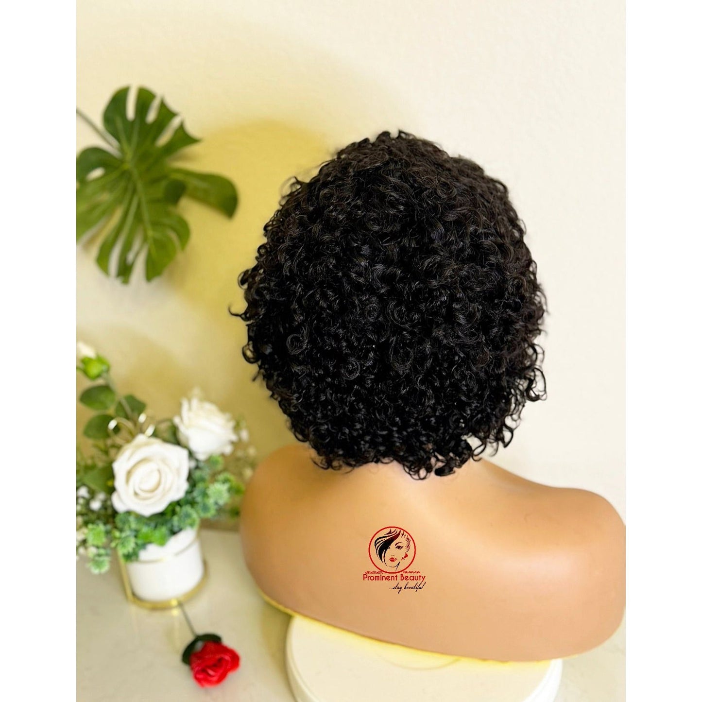 Short Curly Human Hair Wig